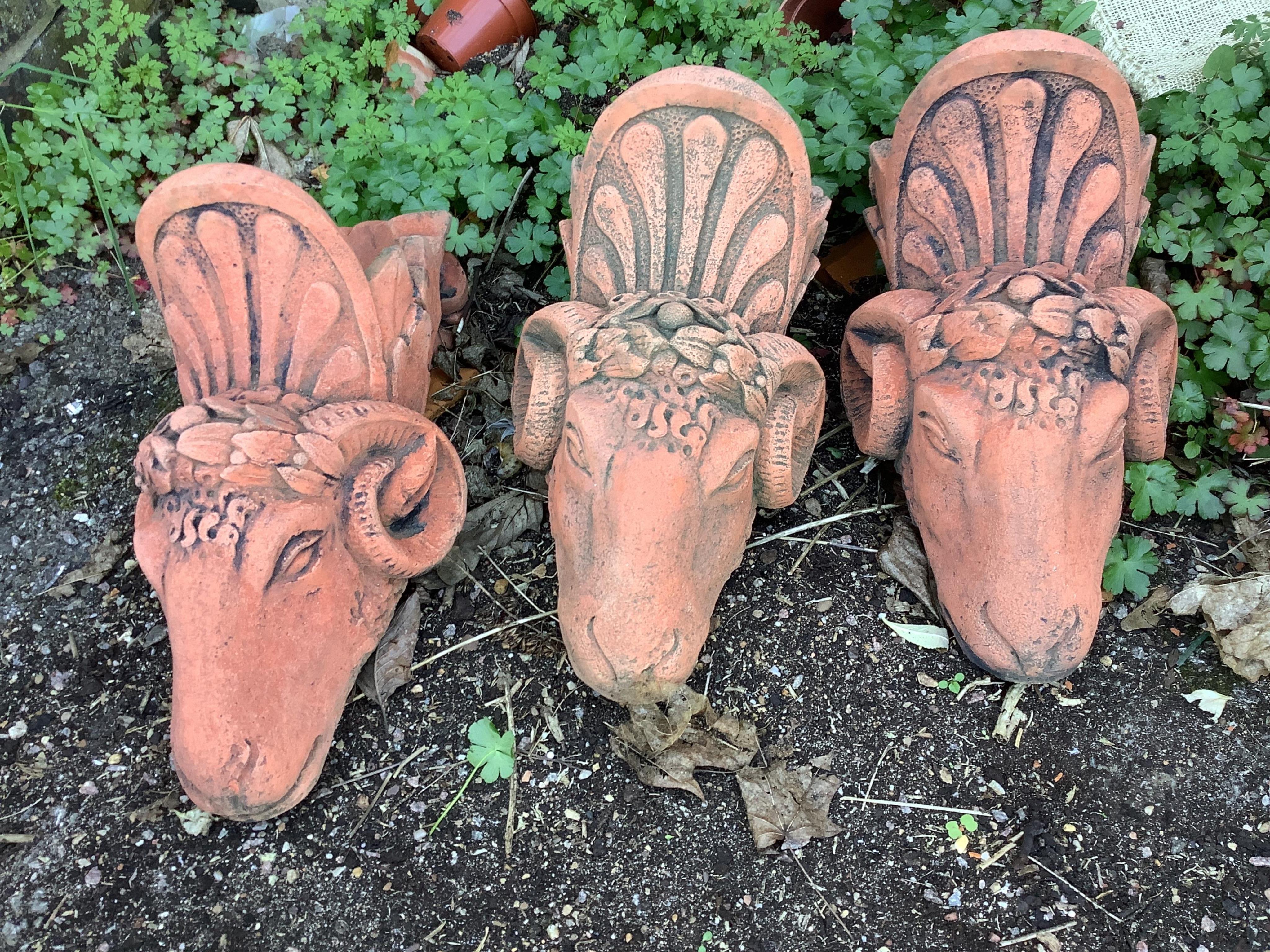 Three gothic terracotta ram's head garden wall pockets, height 40cm. Condition - good
